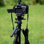 Dennis Kiptoo Profile Picture