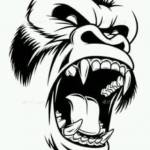 Farah Badi Profile Picture