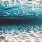 Ali Ali Profile Picture