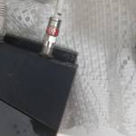 David Bitan Profile Picture