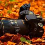 Frank Kipkoech Profile Picture