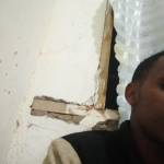 shilingi Alois Profile Picture