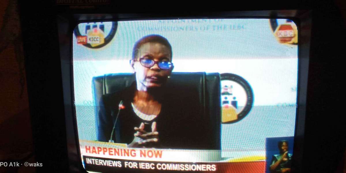 SELECTION PANEL INTERVIEWS APPLICANTS FOR COMMISSIONERSHIP POSITION