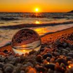 Drew Spykid Profile Picture