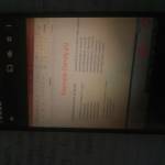 Lucy Oyaro Profile Picture