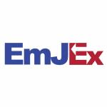EmJEx Consulting Profile Picture