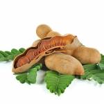 Jefferson Jibaba Profile Picture