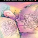 Franklin Mwasemu Profile Picture