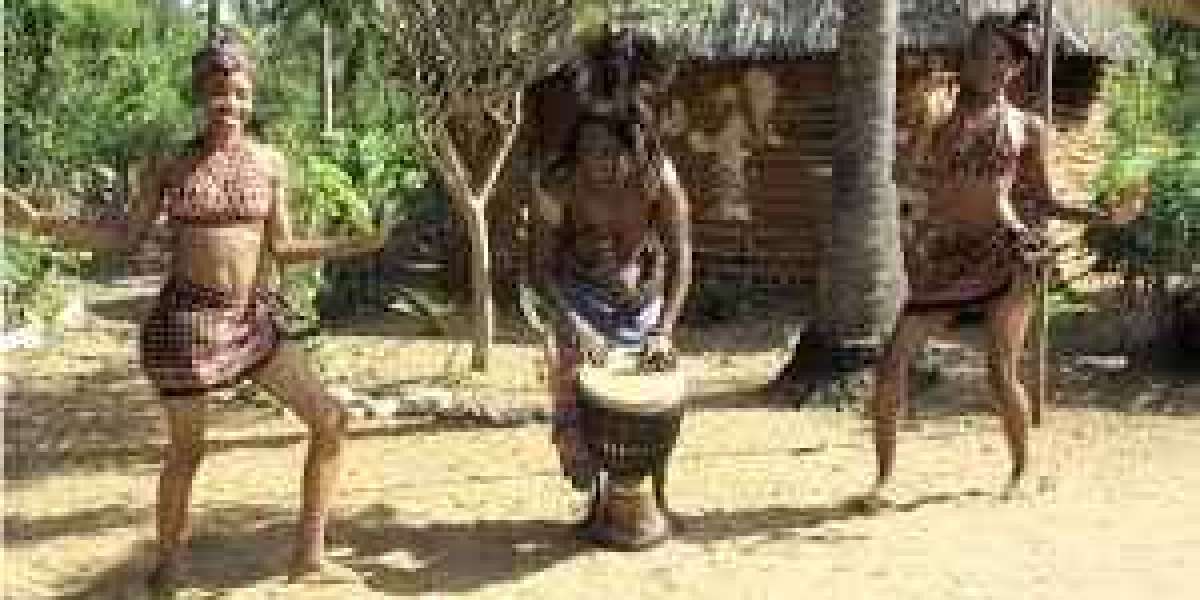 My Culture life