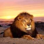 Maxwell Mudegu Profile Picture