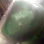 John Musau Profile Picture