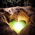 Kenneth Kamuren Profile Picture