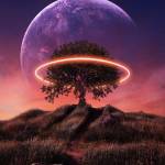 Deng Mayen Chol Profile Picture