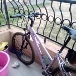 Sheba Wanjiru Profile Picture