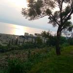 Nzabana Adrien Profile Picture