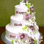 Stephen Ogutu Profile Picture