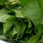 Tabitha Ogodo Profile Picture