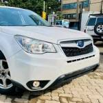 Octo Ternover Profile Picture