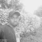 Davieh Nesh Profile Picture