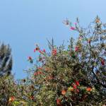 Heed Kemmy Profile Picture