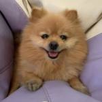 Stewart Ary Profile Picture