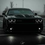 Macron Mister Profile Picture