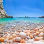 Mogire Robert Profile Picture