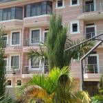 Collines Bett Profile Picture