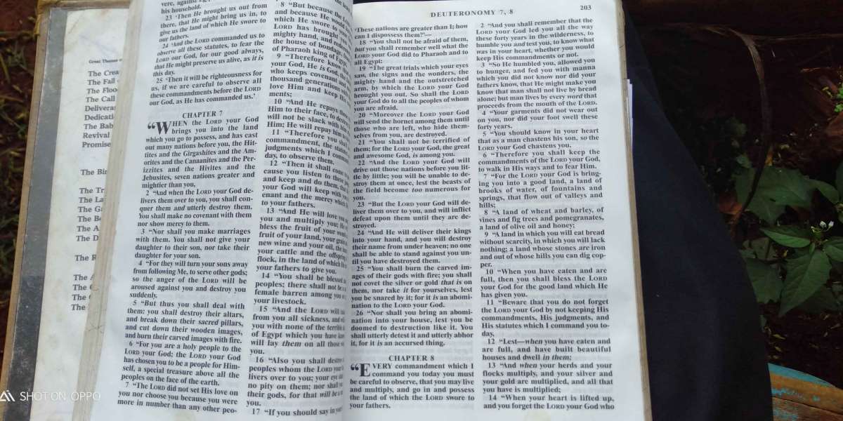 DO NOT LET YOUR HEART ? TURN ASIDE TO HER WAYS ,DO NOT STRAY INTO HER PATHS.