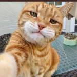 Benjamin Bennjy Profile Picture