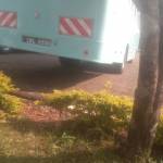 William Okunga Profile Picture