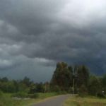 Joseph Wachira Profile Picture