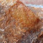 Benjamin isa Profile Picture