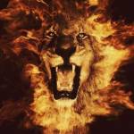 Omia Mike Profile Picture