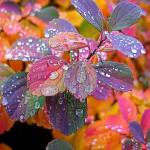 Mercy Chepngeno Profile Picture