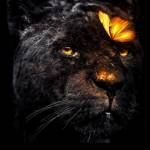 Giddy Myles Profile Picture