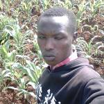 Peter Kipkoech Profile Picture