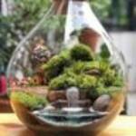 Eli mwaura Profile Picture