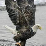 JOHN MUTUKU profile picture