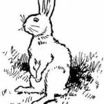 Rabbit Intertainment Profile Picture