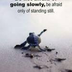 Kavu Mashu Profile Picture