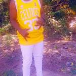 gree Vaa Profile Picture
