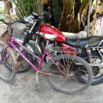 Seph Mussa Profile Picture