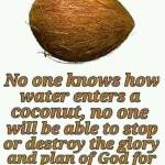 Nyawira Pius Profile Picture