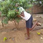 Veroh Ogolah Profile Picture