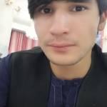 Shekib Fazli Profile Picture