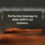 Said Ibrahim Profile Picture