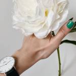 dante rex Profile Picture