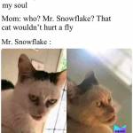 Tosh Tosh Profile Picture