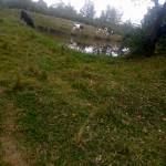 Danny Lang Profile Picture